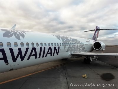 ハワイアン航空機体