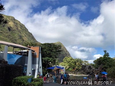 シーライフパーク 景色 山の景色 ハワイ オアフ島
