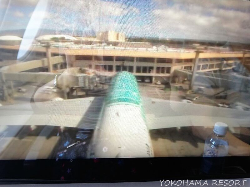 ANA A380 フライングホヌ 機外カメラ