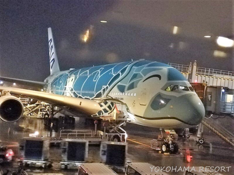 ANA A380 フライングホヌ2号機