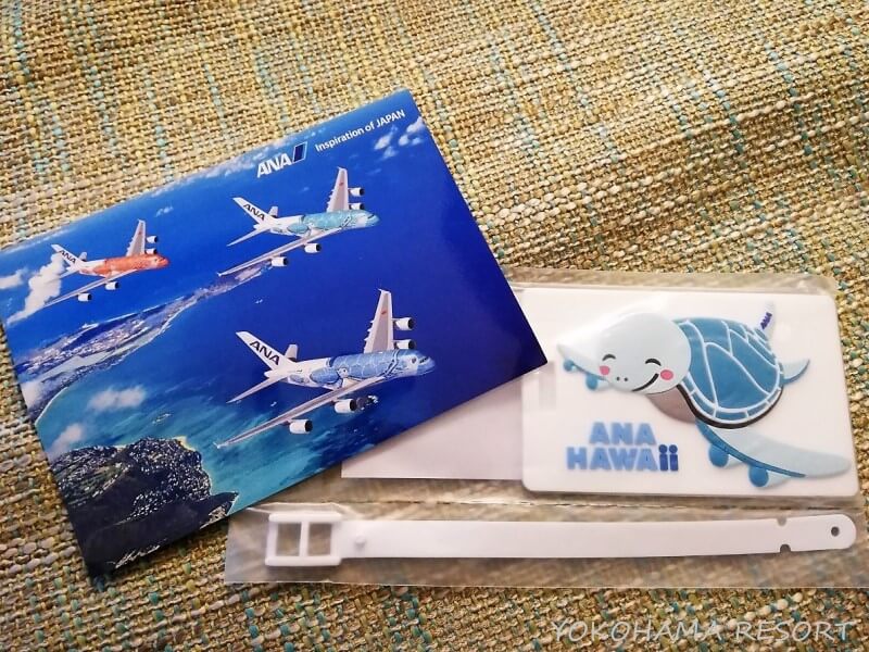ANA A380 フライングホヌ プレミアムエコノミー アメニティグッズ