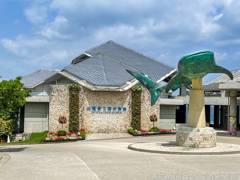 沖縄美ら海水族館 巨大ジンベイザメのオフジェ