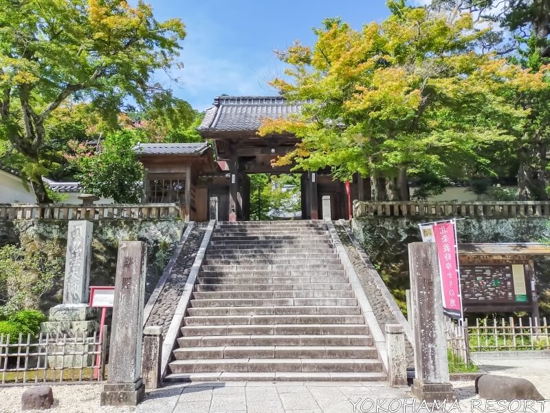 修禅寺の入口の階段