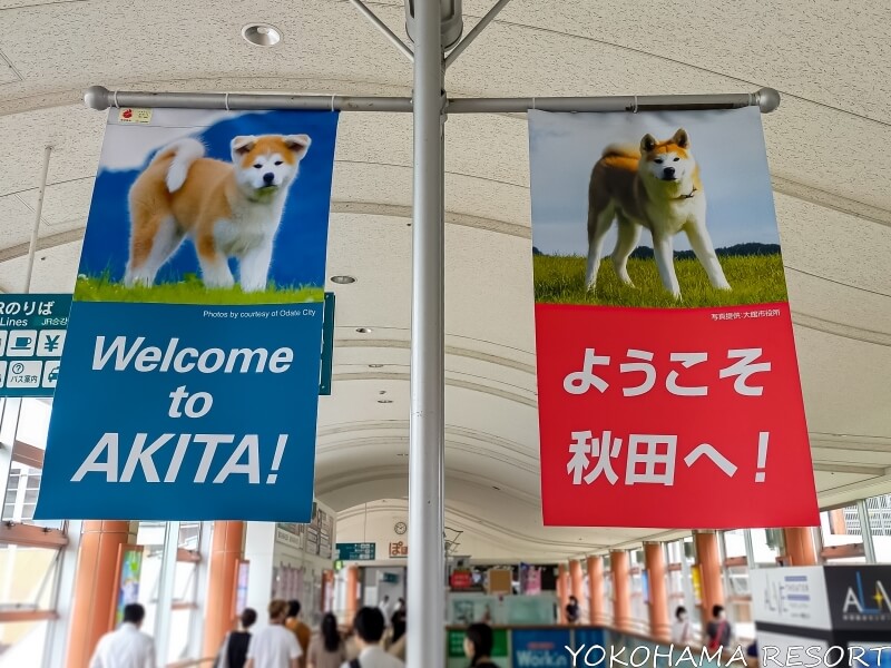 駅構内に秋田犬の写真と「ようこそ秋田へ！」の文字ののぼり