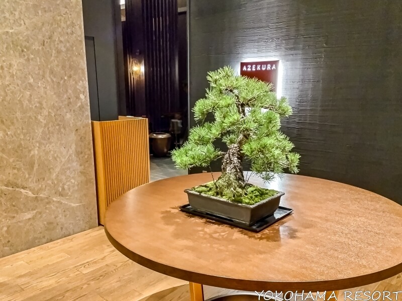 日本食レストランの校倉の前に置かれた松の盆栽