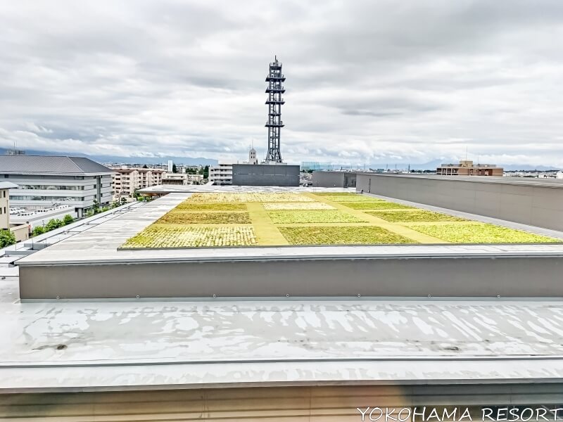 奈良県コンベンションセンター屋上の畑