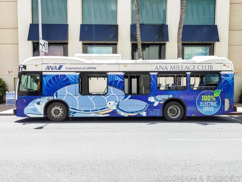 青い車体に青いホヌが描かれたANAエクスプレスバス