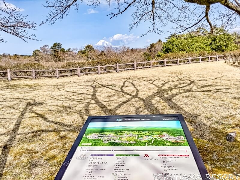 敷地内から富士山が見えるスポット