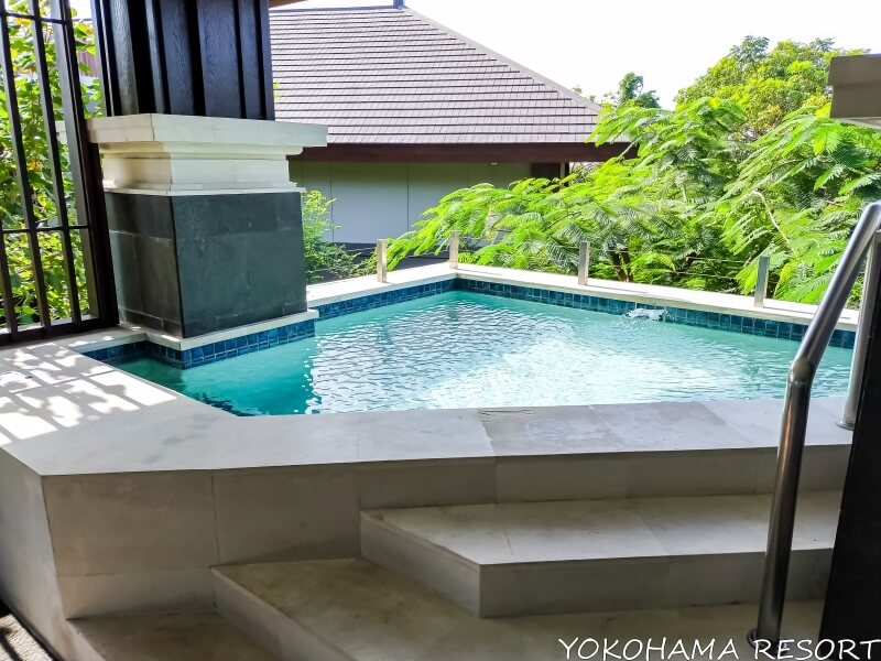 プランジプール