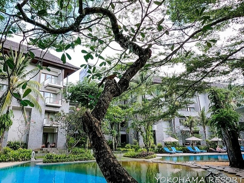 プールサイドにいたリス