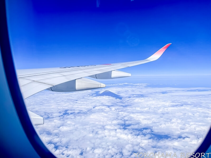 機内から見た富士山