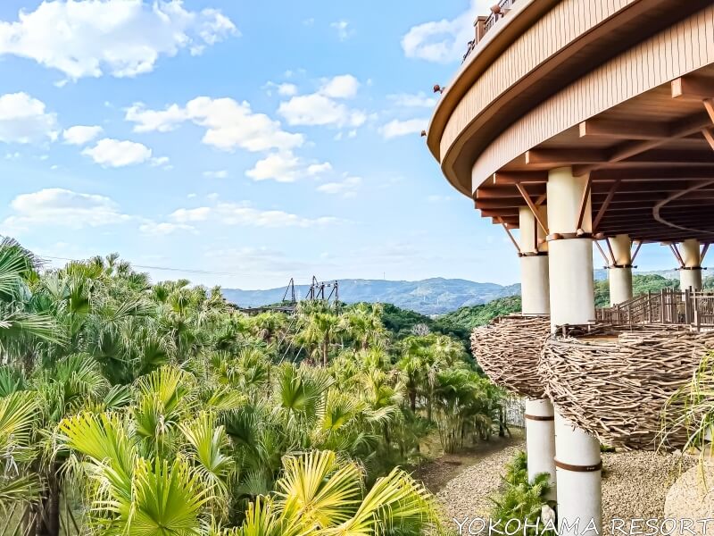 ジャングリア沖縄 パーク内の景色