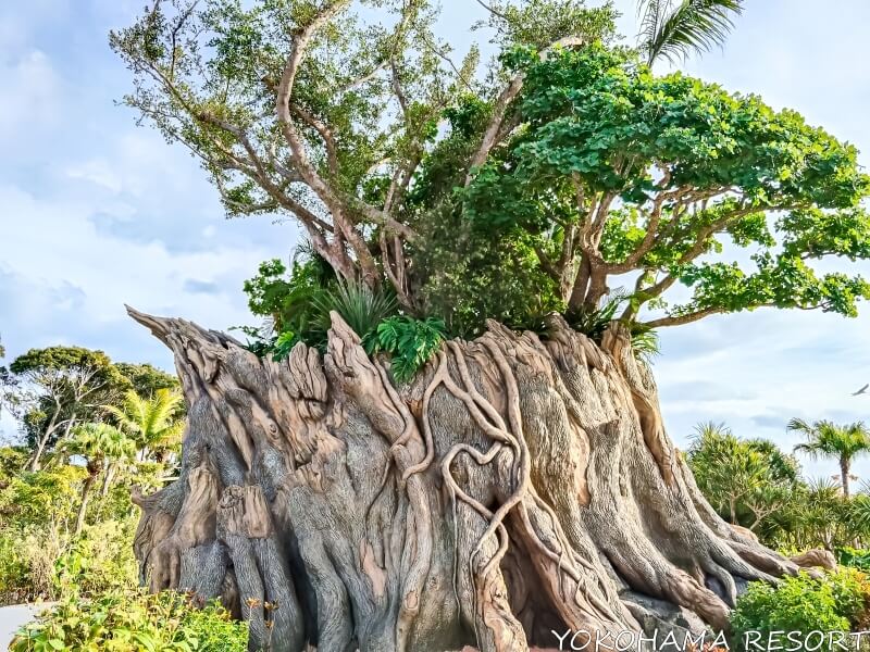 ジャングリア沖縄 パーク内の景色
