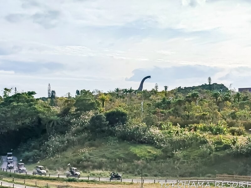 ジャングリア沖縄 パーク内の景色
